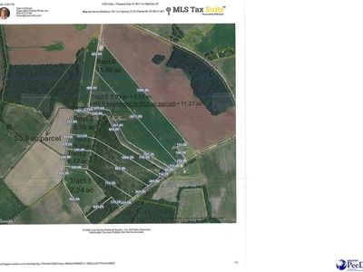 TBD Trinidad Ard Tract 1, Coward, SC 29530