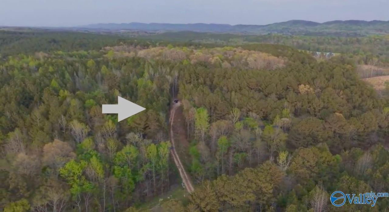 8318 Al Highway 35, Gaylesville, AL 35973 Main Photo