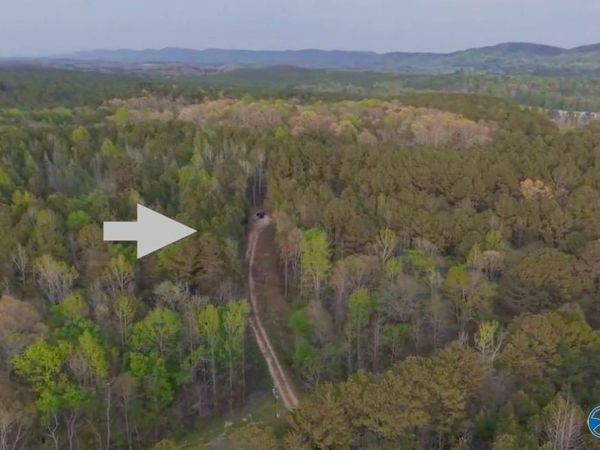 8318 Al Highway 35, Gaylesville, AL 35973