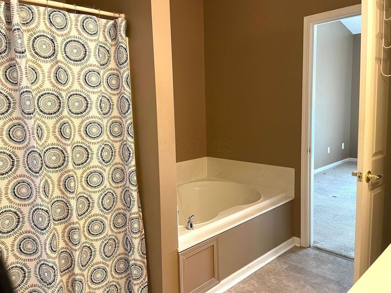 307 Belstone Street , Pickerington, OH 43147 Photo 23