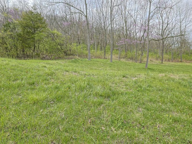 6559 Lawrenceburg Road, Whitewater Twp, OH 45030 Photo 32