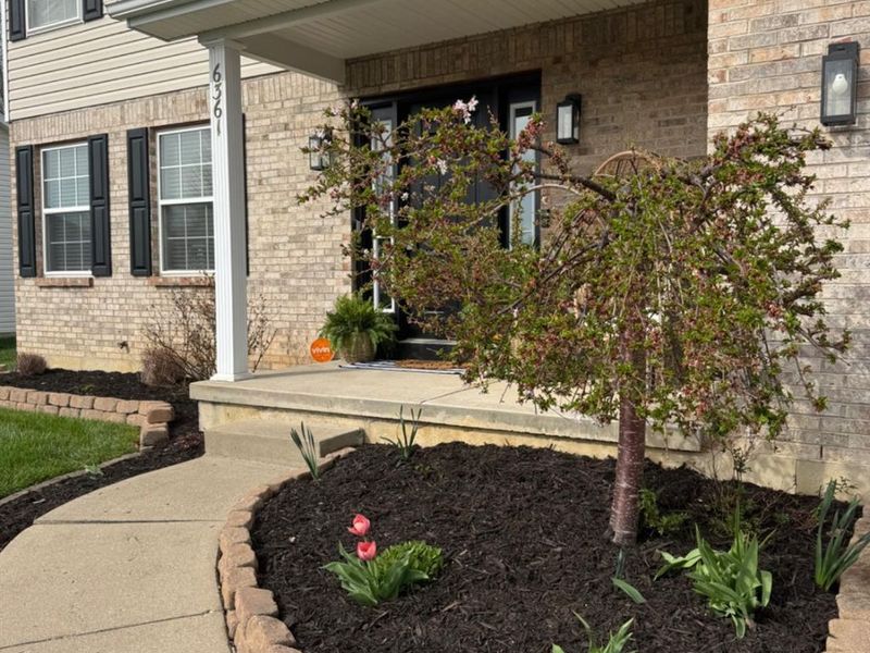 6361 Sterling Woods Drive, Clayton, OH 45315 Photo 5