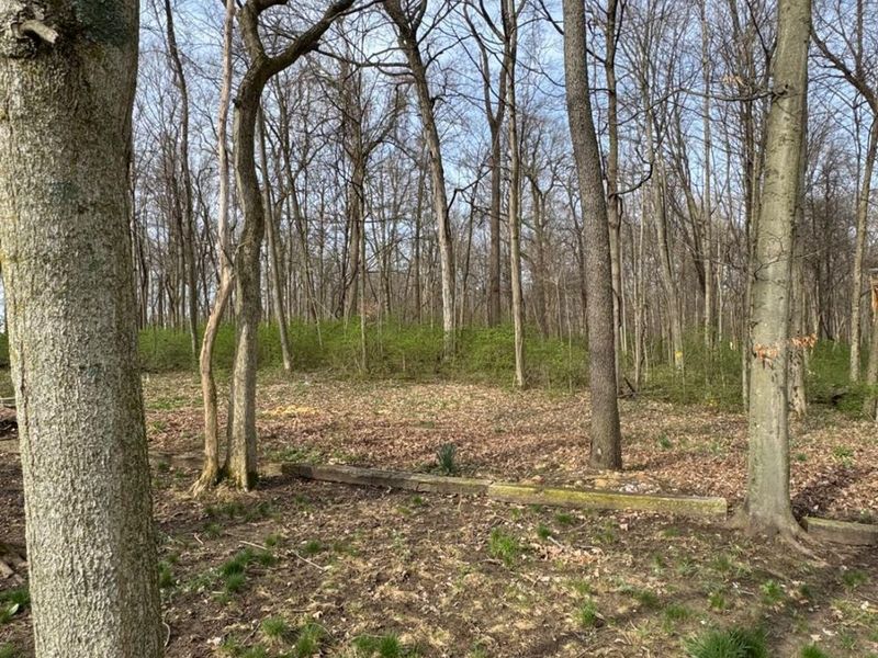 6361 Sterling Woods Drive, Clayton, OH 45315 Photo 74