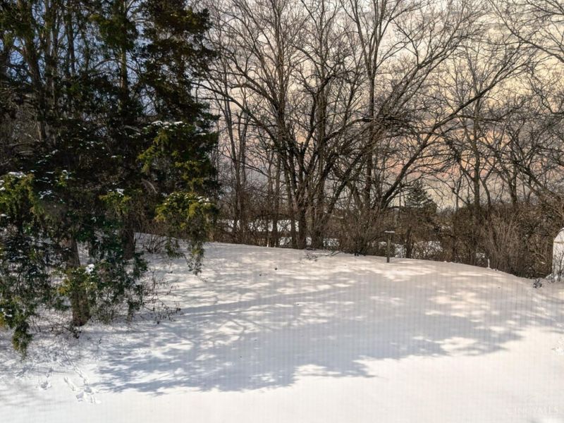 451 Kitty Lane, Delhi Twp, OH 45238 Photo 23