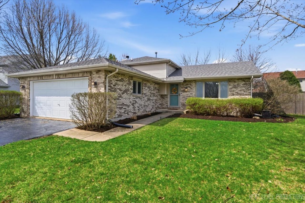 703 Ferret Crossing, Oswego, IL 60543 Main Photo