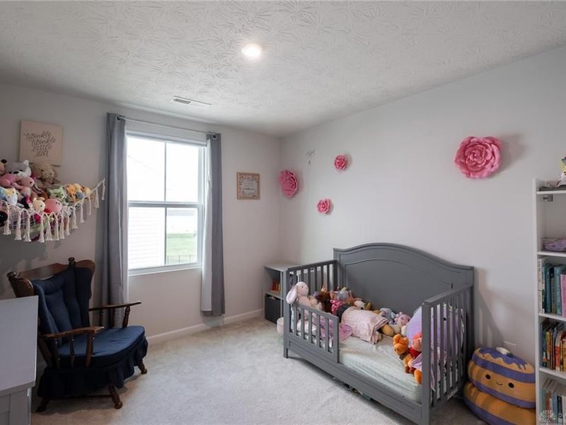 4341 Purple Aster Court, Dayton, OH 45404 Photo 22