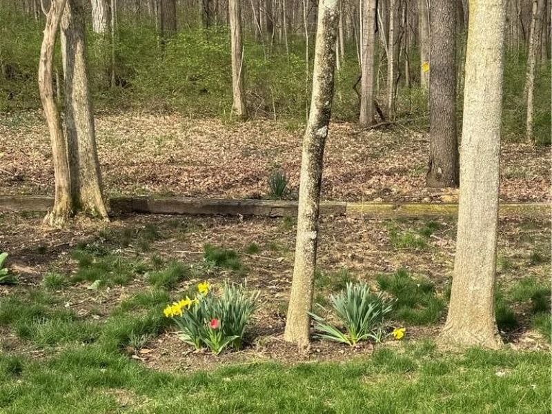 6361 Sterling Woods Drive, Clayton, OH 45315 Photo 65