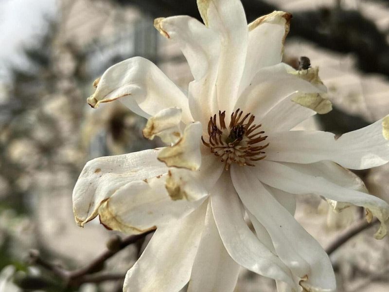 2636 Sandusky Street, Zanesfield, OH 43360 Photo 64