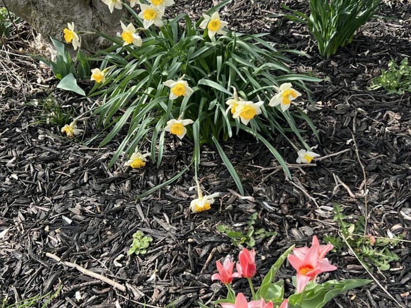 2636 Sandusky Street, Zanesfield, OH 43360 Photo 65