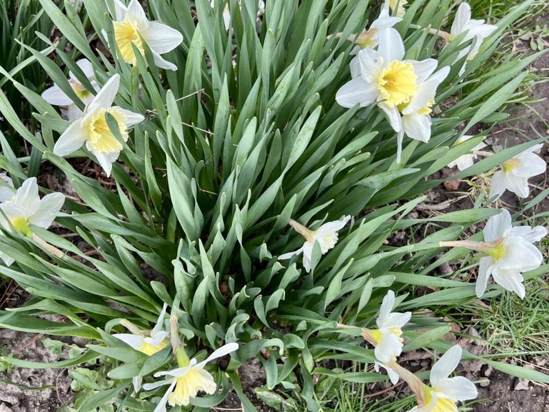 2636 Sandusky Street, Zanesfield, OH 43360 Photo 66