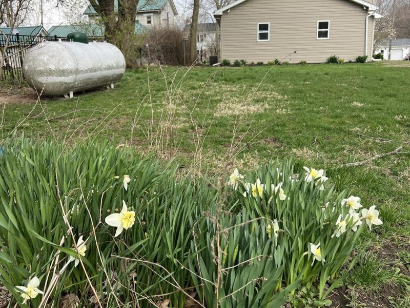 2636 Sandusky Street, Zanesfield, OH 43360 Photo 67