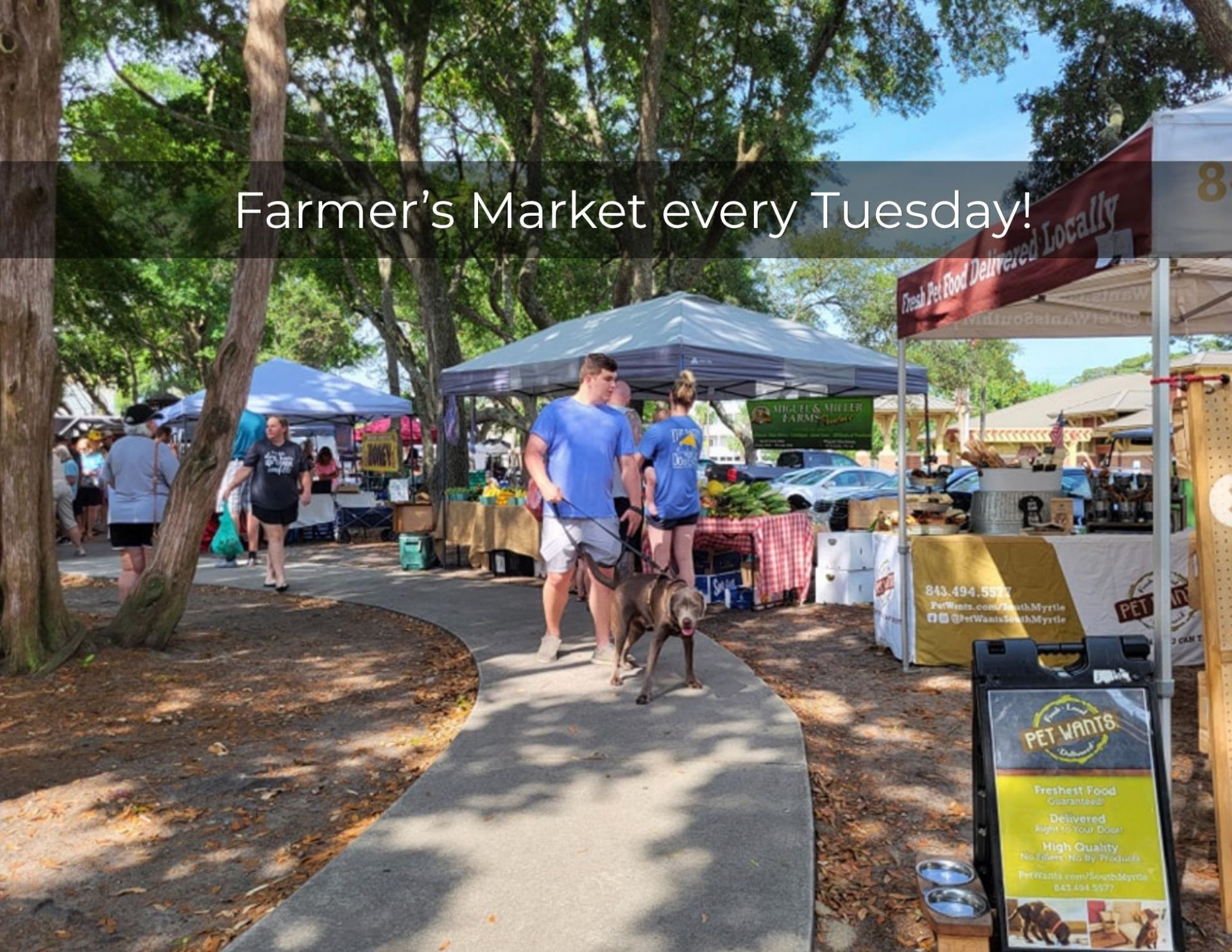 205 Ocean Commons Dr.  Photo 52