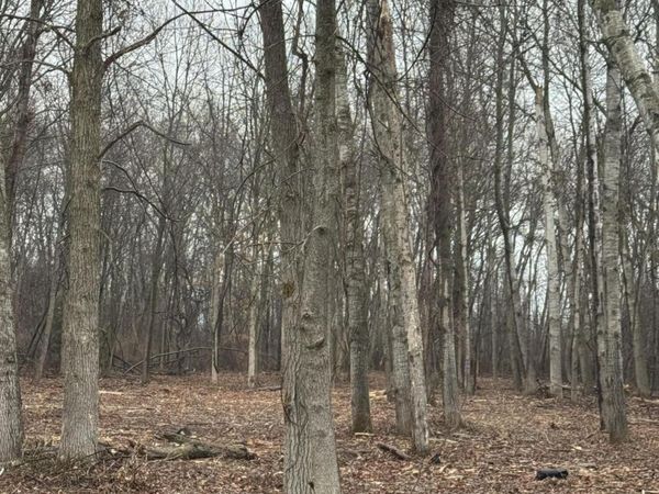 S Main Street, Au Gres, MI 48703