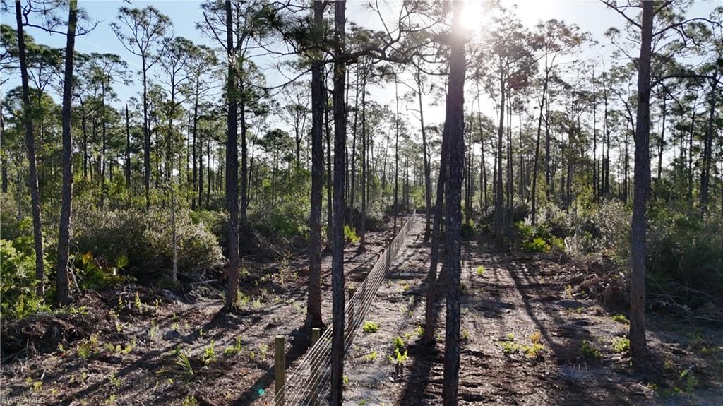 14350 Burnt Store Rd , Punta Gorda, FL 33955 Photo