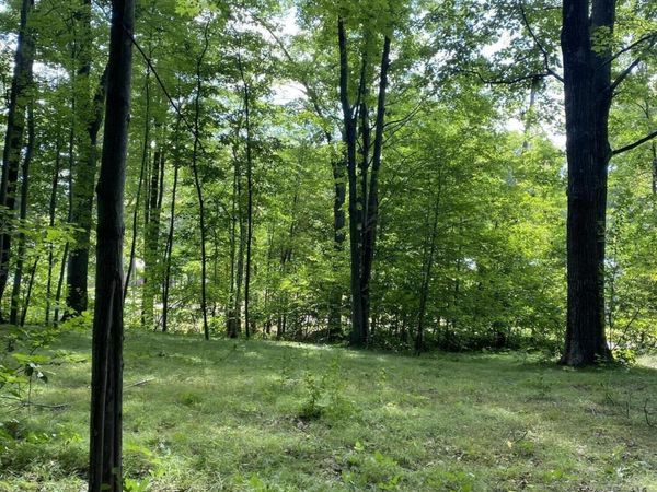 Elm Drive, Lakeview, MI 48850