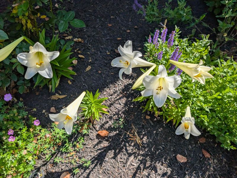 6299 Memorial Drive, Dublin, OH 43017 Photo 47