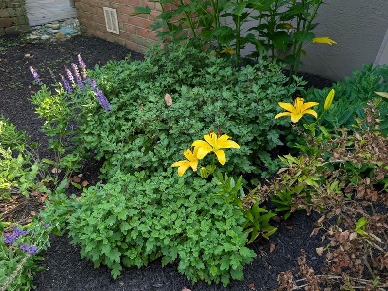 6299 Memorial Drive, Dublin, OH 43017 Photo 48