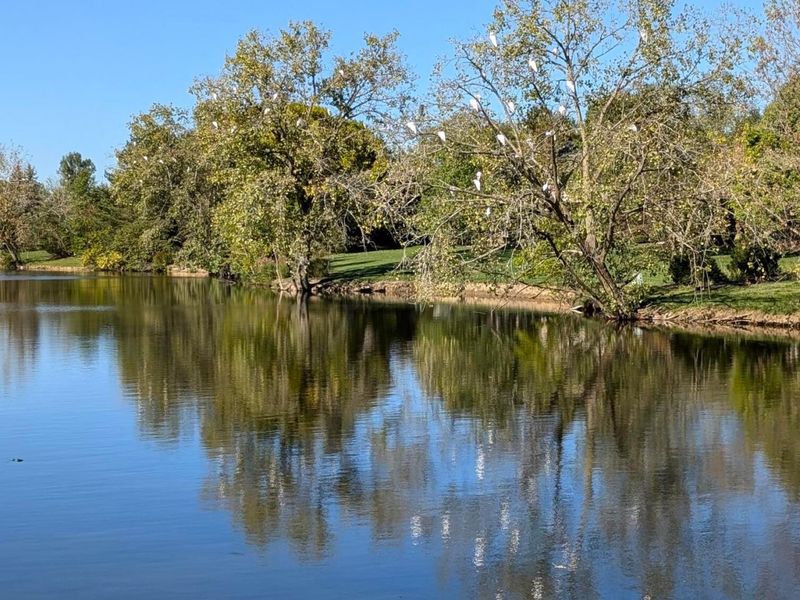 6299 Memorial Drive, Dublin, OH 43017 Photo 50