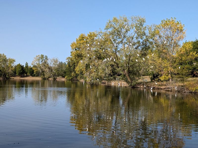 6299 Memorial Drive, Dublin, OH 43017 Photo 52