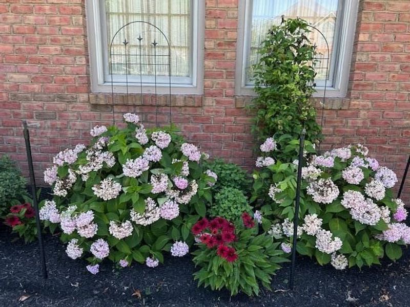 6299 Memorial Drive, Dublin, OH 43017 Photo 53