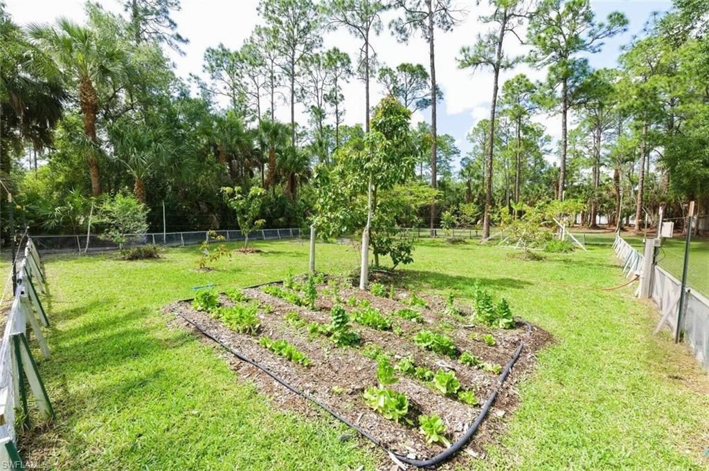 355 14th Ave Ne, Naples, FL 34120 Photo