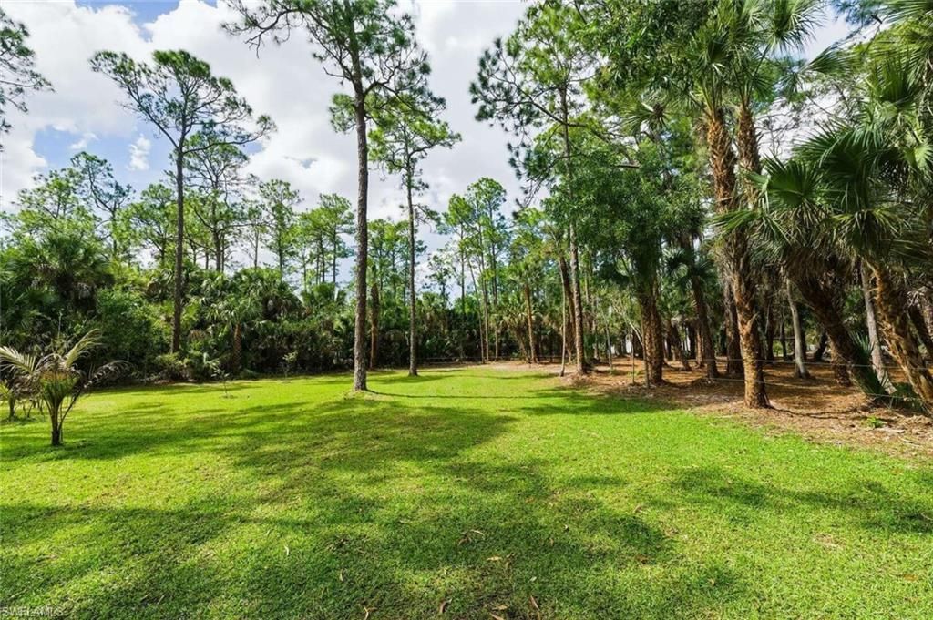 355 14th Ave Ne, Naples, FL 34120 Photo