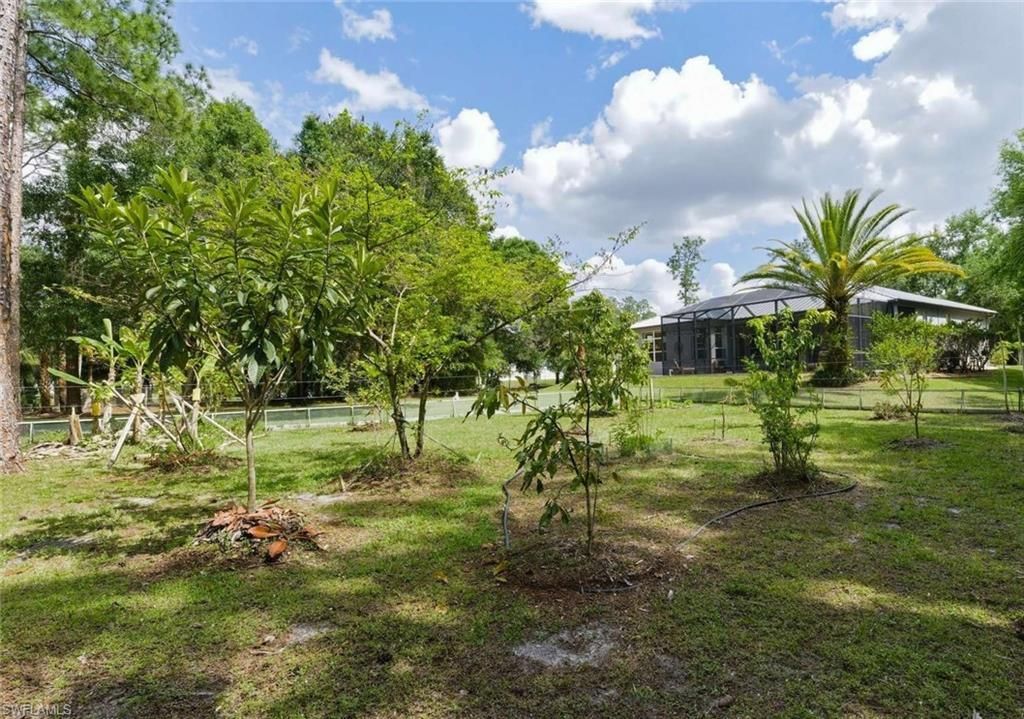 355 14th Ave Ne, Naples, FL 34120 Photo