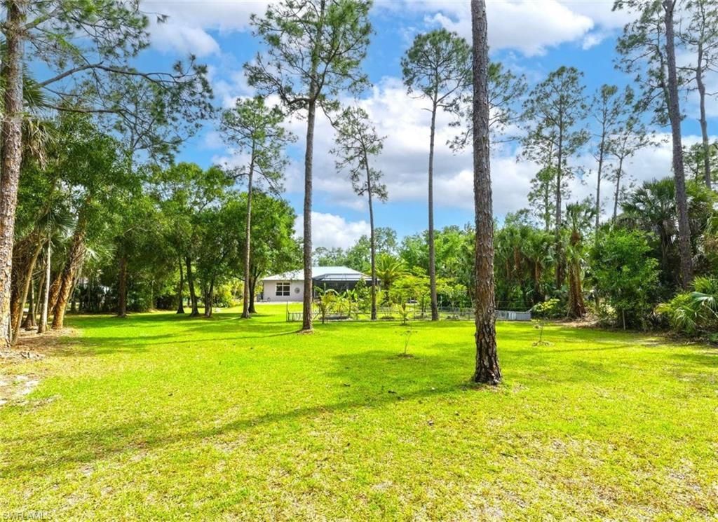 355 14th Ave Ne, Naples, FL 34120 Photo