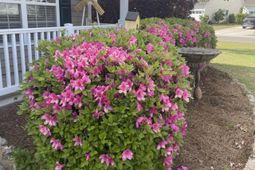 408 Lakewind Drive photo 4