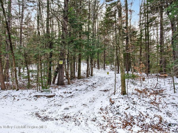 Tbd Roaring Kill Road, Elka Park, NY 12427
