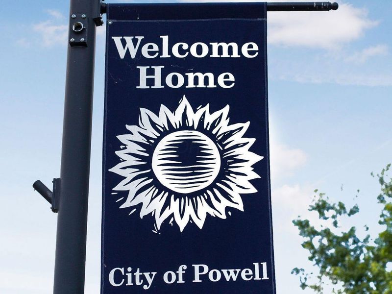 184 Stamford Drive, Powell, OH 43065 Photo 50