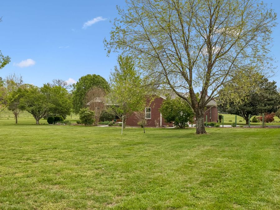 Property Image 57