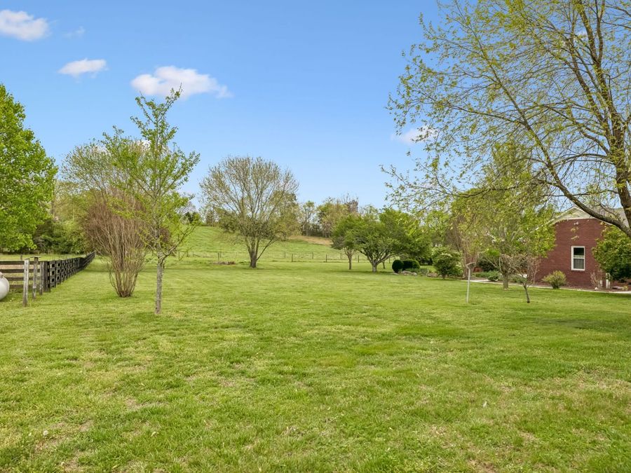 Property Image 58