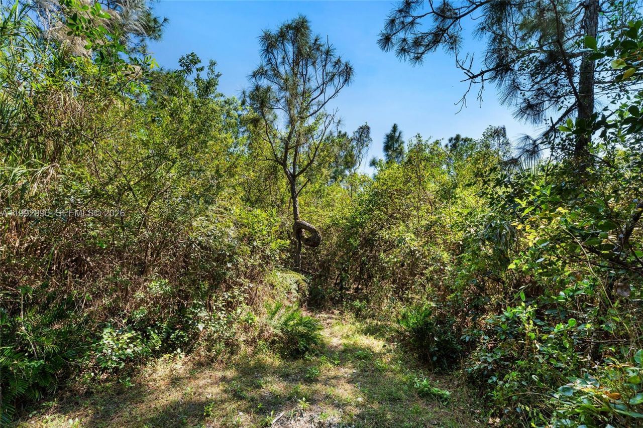 15000 SW 200th St, Miami, FL 33187 Photo