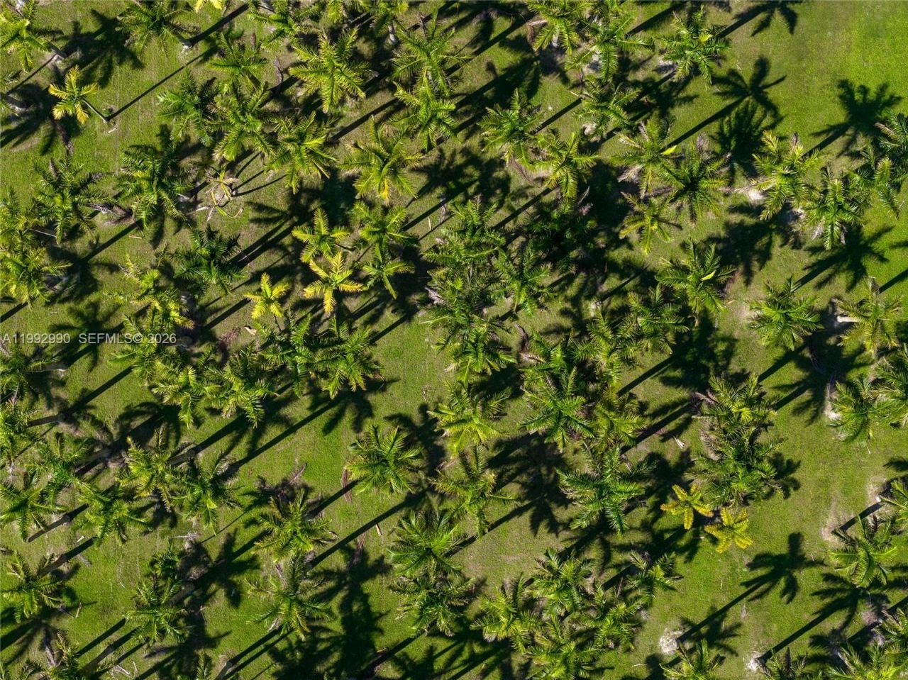 15000 SW 200th St, Miami, FL 33187 Photo