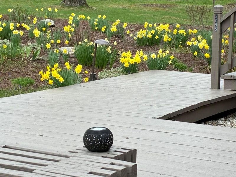 5095 Lakeview Drive, Powell, OH 43065 Photo 4