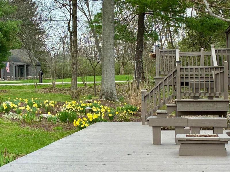 5095 Lakeview Drive, Powell, OH 43065 Photo 5