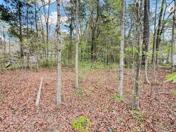 0 Cedar Grove Road , Lawrenceville, VA 23868