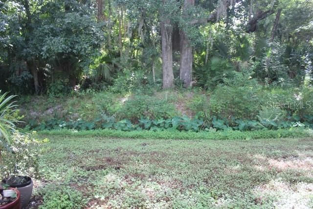 544 Tall Oaks Terrace , Longwood, FL 32750 Photo