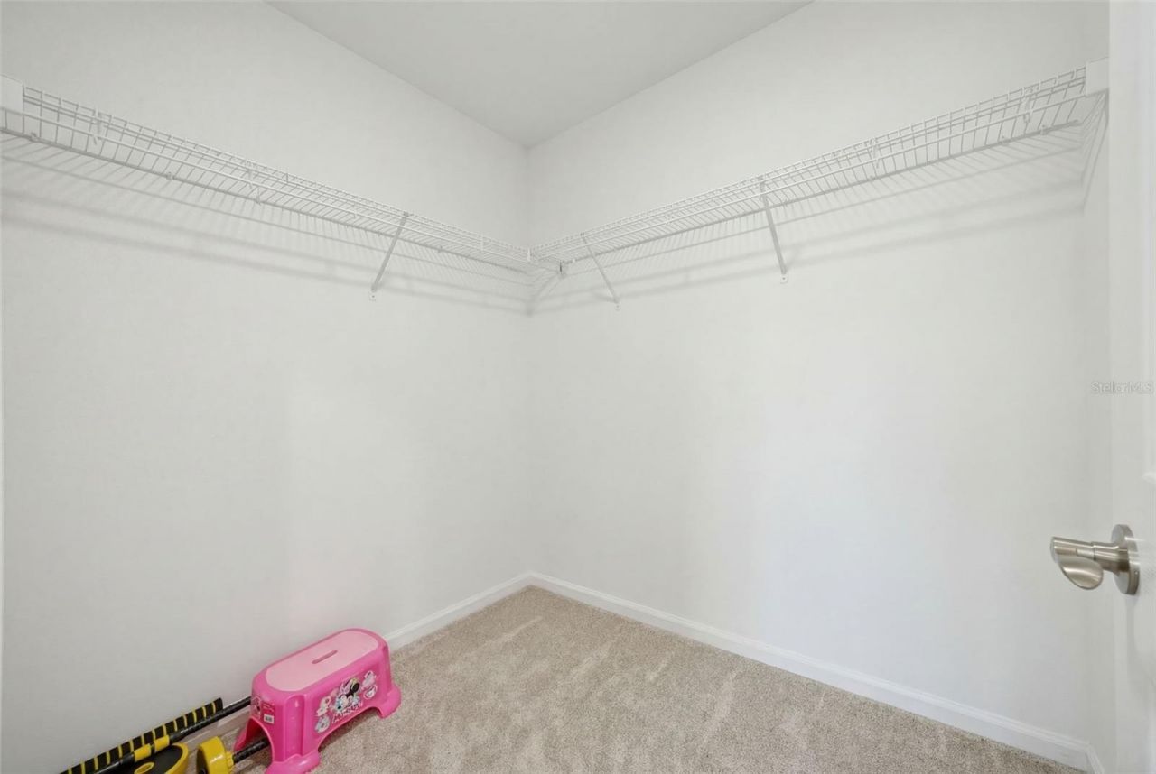 7792 Notched Pine Bend, Wesley Chapel, FL 33545 Photo