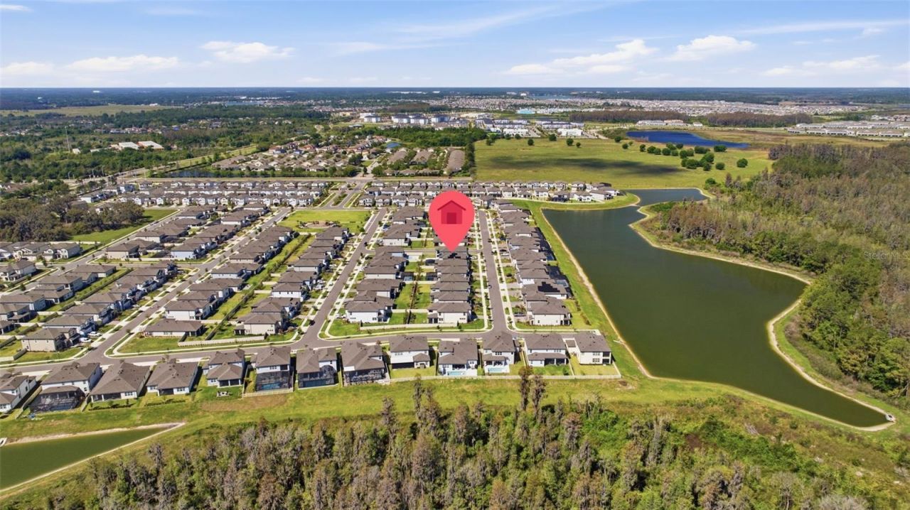 7792 Notched Pine Bend, Wesley Chapel, FL 33545 Photo