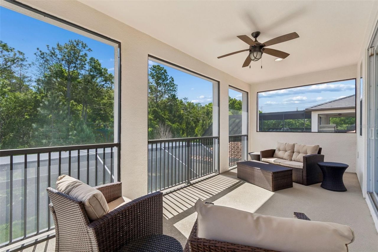 29190 Picana Lane, Wesley Chapel, FL 33543 Photo