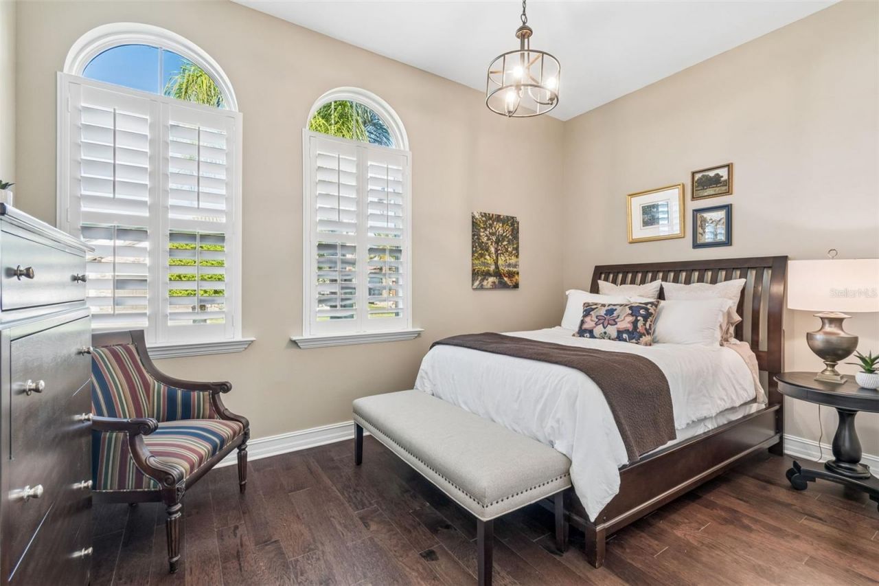 29190 Picana Lane, Wesley Chapel, FL 33543 Photo