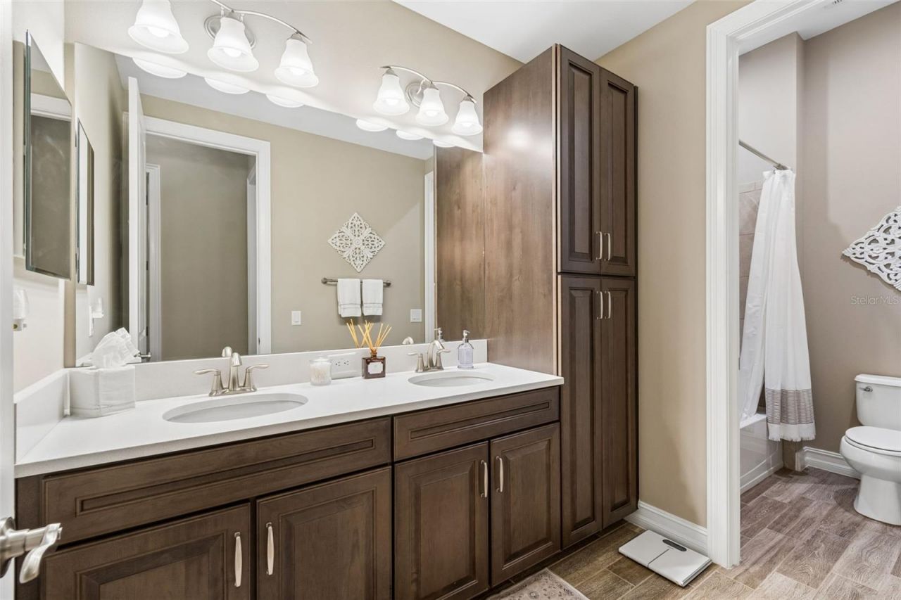 29190 Picana Lane, Wesley Chapel, FL 33543 Photo