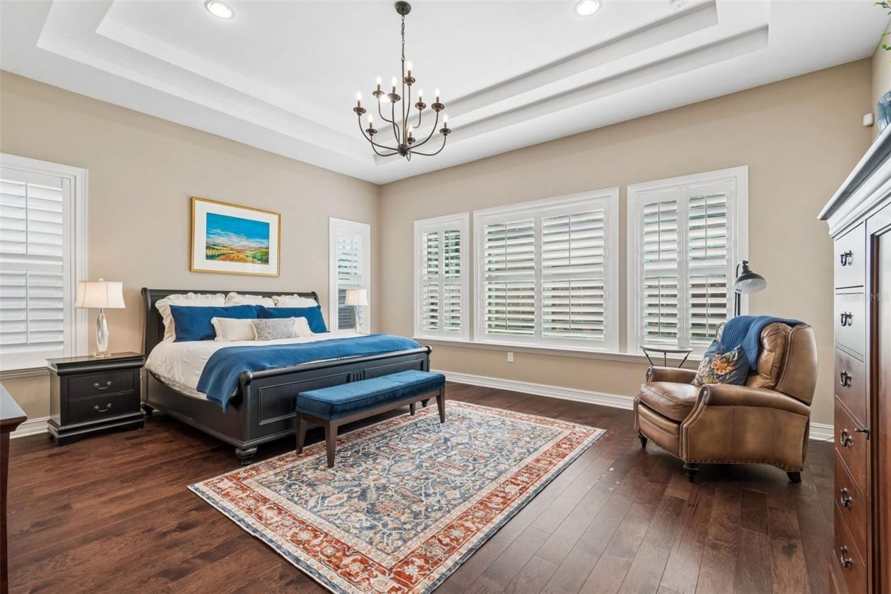 29190 Picana Lane, Wesley Chapel, FL 33543 Photo