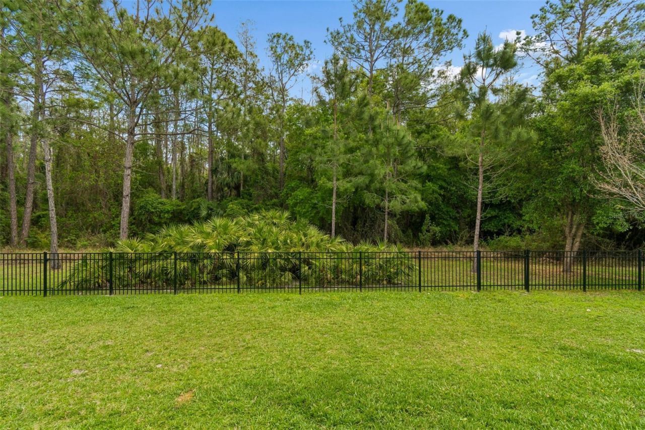 29190 Picana Lane, Wesley Chapel, FL 33543 Photo