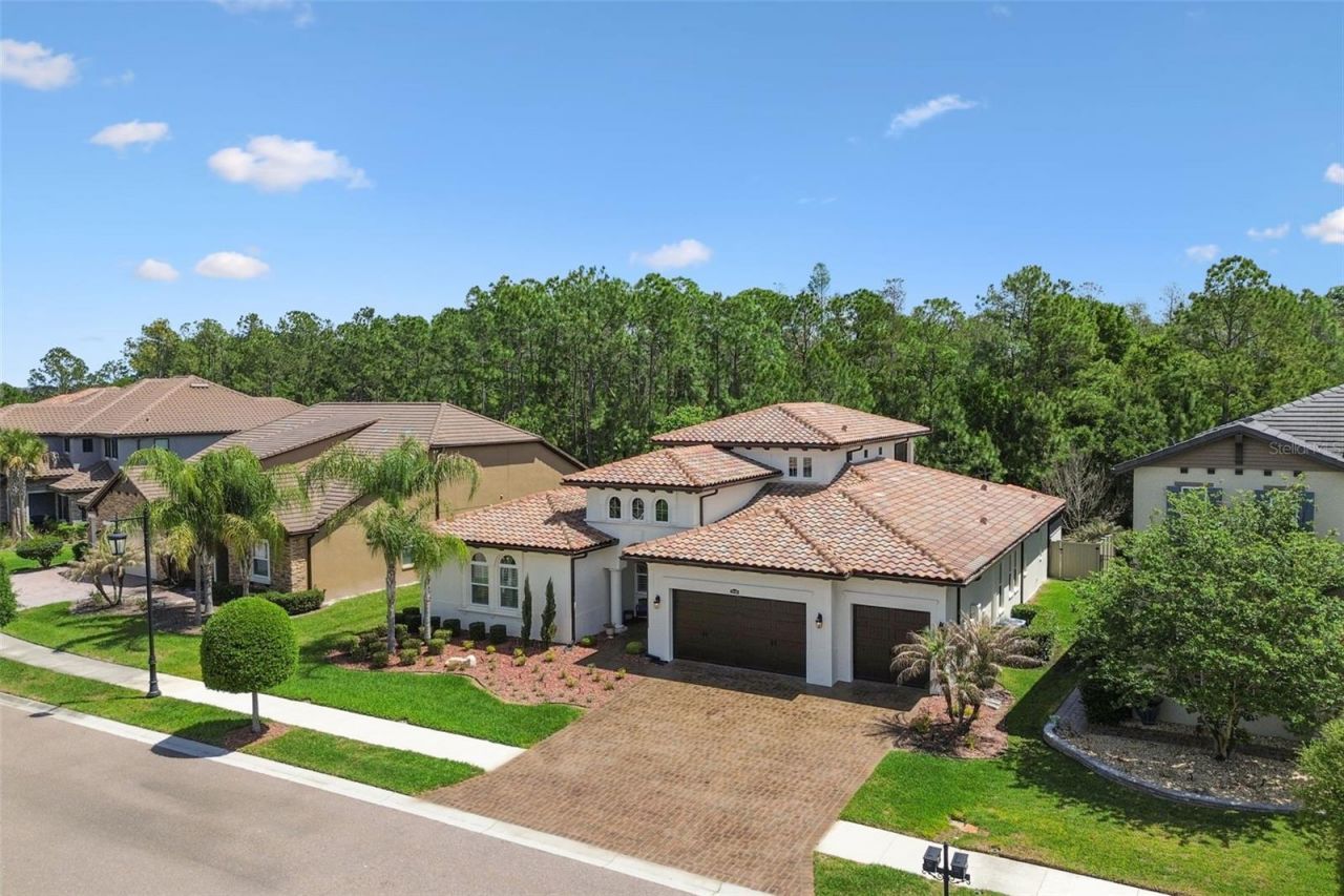 29190 Picana Lane, Wesley Chapel, FL 33543 Photo