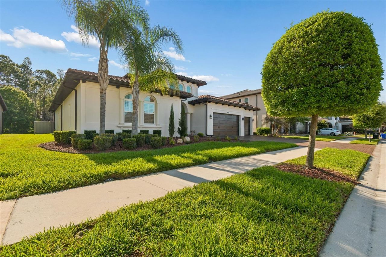 29190 Picana Lane, Wesley Chapel, FL 33543 Photo