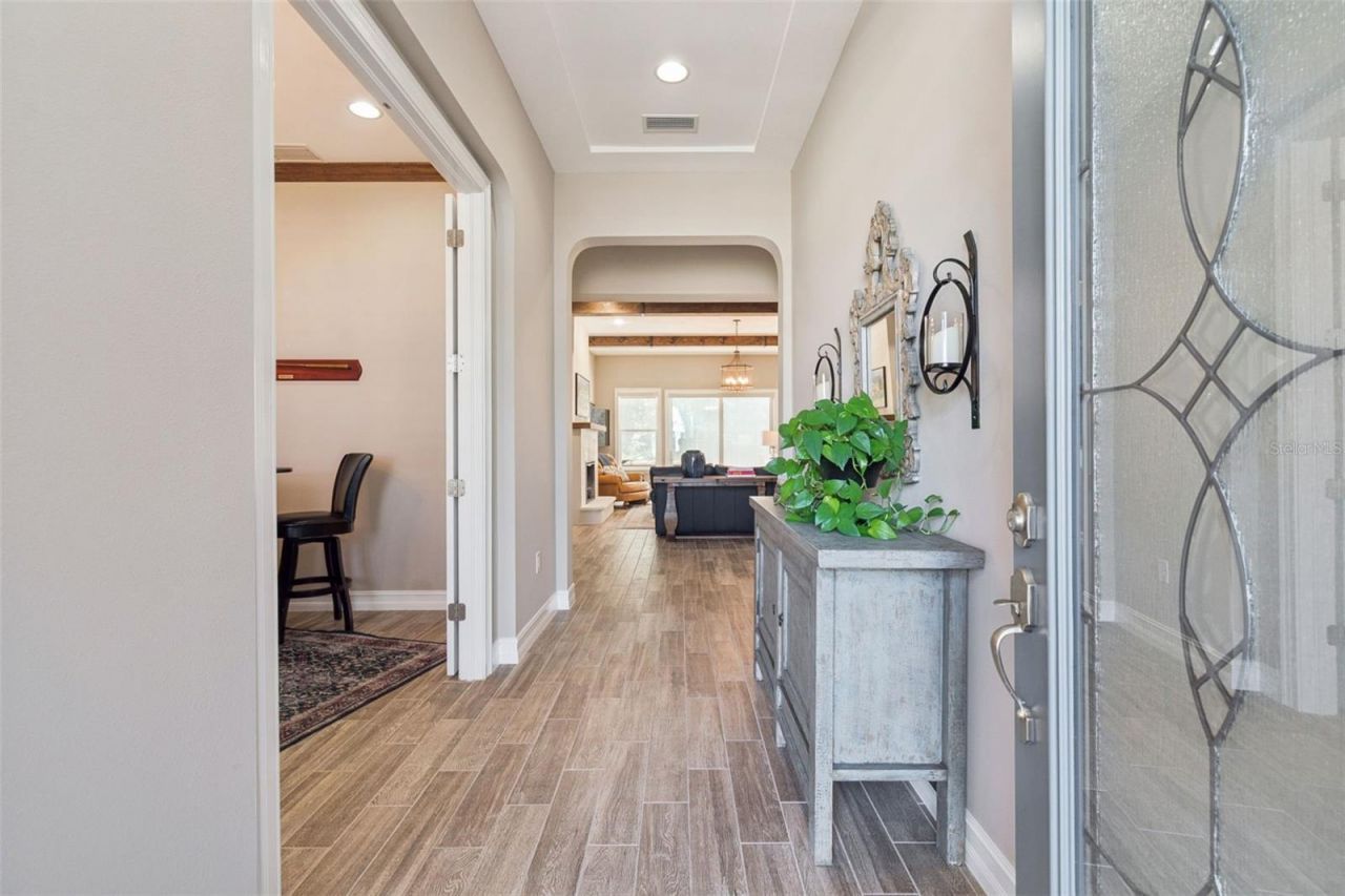 29190 Picana Lane, Wesley Chapel, FL 33543 Photo