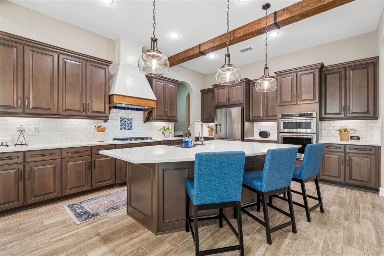 29190 Picana Lane, Wesley Chapel, FL 33543 Photo